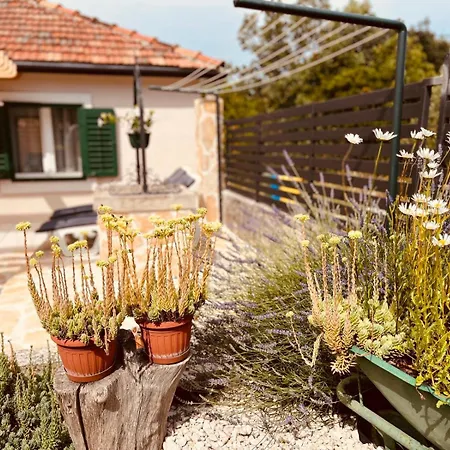 Heart&soul * Zečevo