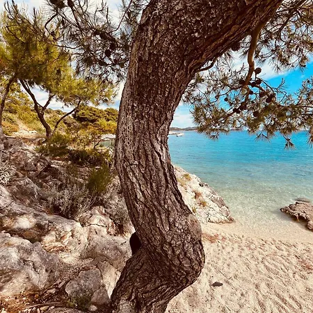 Heart&soul * Zečevo