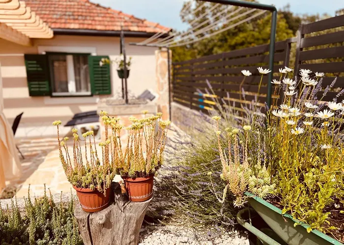 Heart&soul * Zečevo