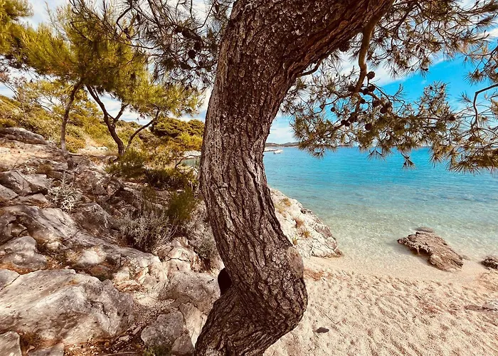 Heart&soul * Zečevo